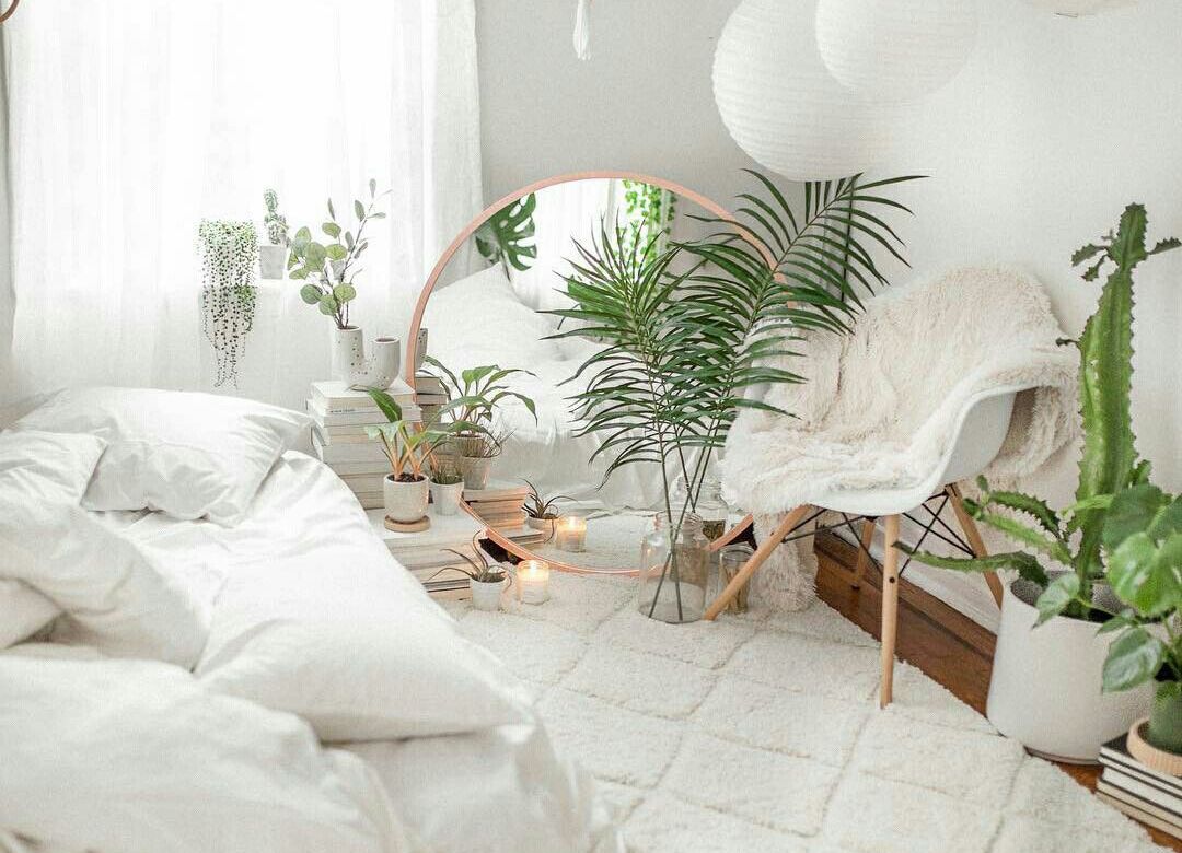 plantes-chambres