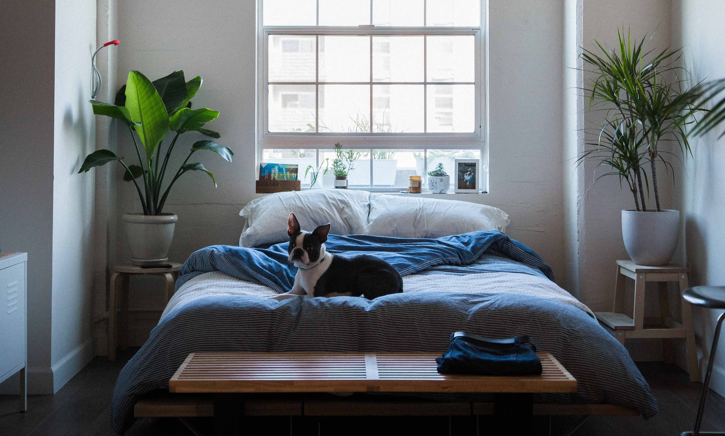 Décoration chambre à coucher : réalisez facilement la chambre de vos rêves