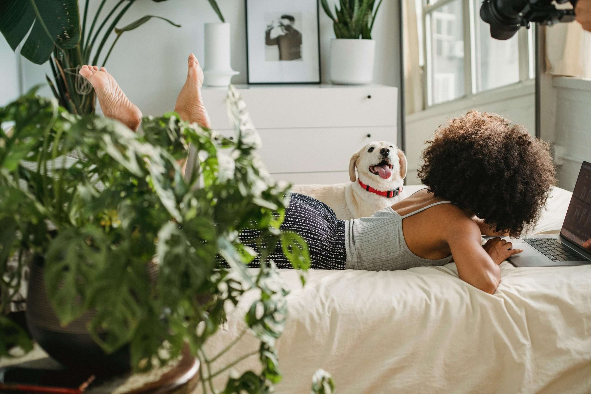 Comment nettoyer votre sommier tapissier ? Nos conseils pour un entretien réussi !